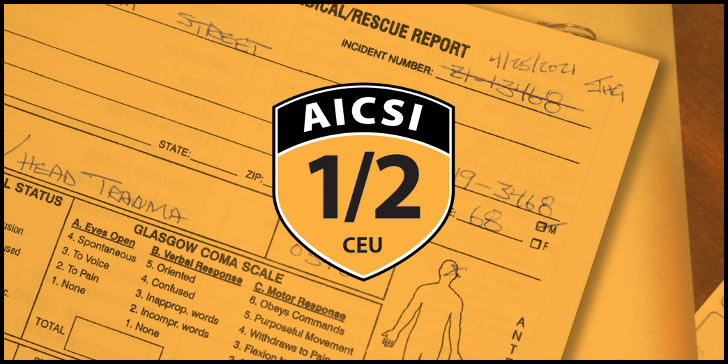 AICSI-30 Documentation